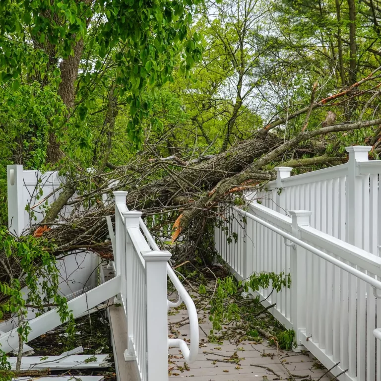 Storm Damage repair tree removal Gillespie Tree Care